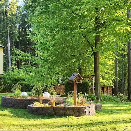 Hundeblick *