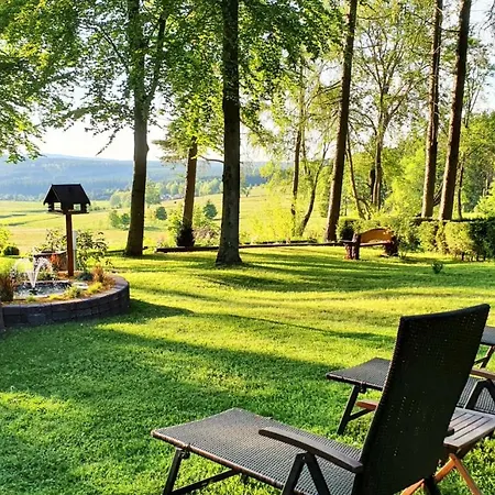 Hundeblick
