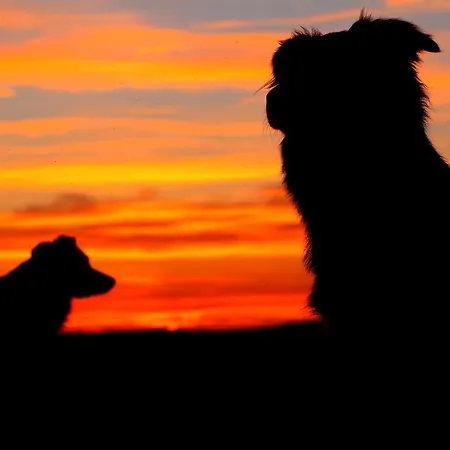 Διαμέρισμα Hundeblick *