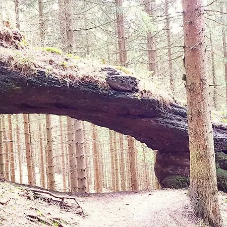 Hundeblick * Tambach-Dietharz