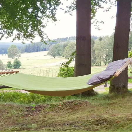 Hundeblick *