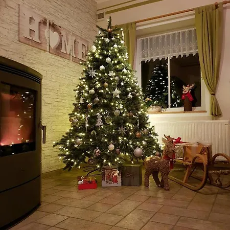 Hundeblick