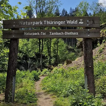 Hundeblick * Tambach-Dietharz