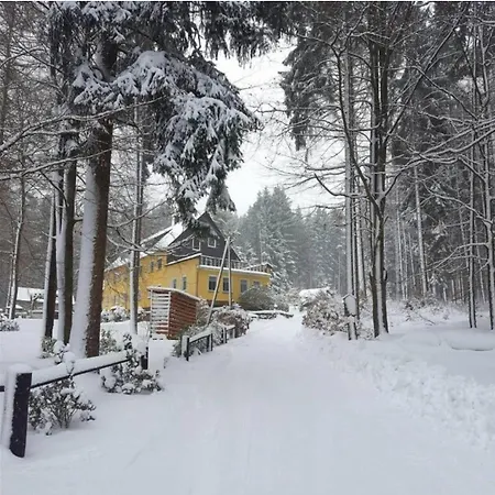 Hundeblick *